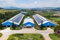 KL99 là cổng game giải trí trực tuyến hàng đầu hiện nay cần quan tâm ngày 16/5