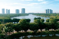 Tìm cửa Kl99ok phiên bản mới năm Mèo