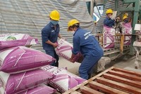 Dây chuyền Kl994 nhà cái bóng đá world cup phân bón tại Nhà máy phân bón Long Mỹ. (Ảnh: Hồng Nhung/TTXVN)