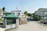 Tibaco (TSB) “nổi sóng” hậu thoái vốn 99Kl99 trực tiếp đá gà
