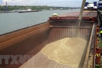 Chuyển lúa mỳ lên tàu tại cảng quốc tế Rostov-on-Don, Nga. (Ảnh: AFP/TTXVN).