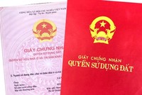 Ảnh minh họa. (Nguồn: Báo Lao động).