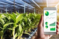 Chuyển đổi số giúp nông nghiệp mở thị trường xuất khẩu
