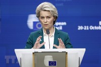 EU nới lỏng các quy định về trợ cấp 99Kl99 trực tiếp đá gà đối với công nghệ xanh