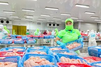 Cá tra phi lê là sản phẩm xuất khẩu chủ lực của tỉnh An Giang.