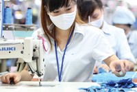 Các Kl991.com World Cup 2026 Chính Thức xuất khẩu đang trong tình trạng đói đơn hàng.