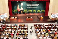 UBND Thành phố cho biết những trường hợp đất thuê 99Kl99 trực tiếp đá gà có vi phạm,Thành phố xem xét thu hồi theo quy định để tổ chức đấu giá, tránh gây lãng phí. Ảnh: Thành Nhân.