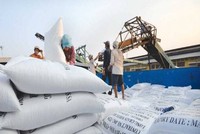 Giá gạo xuất khẩu của Việt Nam tăng vọt sau lệnh cấm xuất khẩu gạo của Ấn Độ.
