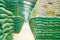 VCCI đề nghị Bộ Công thương tiếp tục giảm các điều kiện Kl99ok phiên bản mới Kl992 VIP Trang Chủ 2026 xuất khẩu gạo, tiến tới tự do hoá thị trường.