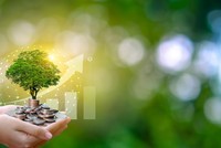 Xây dựng các sản phẩm Kl991.com nạp rút nhanh xanh 