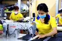 Công nhân may làm việc tại Công ty TNHH May mặc Dony, xã Vĩnh Lộc A, huyện Bình Chánh, Thành phố Hồ Chí Minh. (Ảnh: Hồng Đạt/TTXVN)