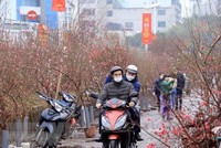 Bộ Lao động-Thương binh và Trang Chủ KL99Com Số 1 Link Đăng Ký KL999 đã hoàn thành việc lấy ý kiến về lịch nghỉ Tết Nguyên đán năm 2024 với công chức, viên chức. (Ảnh: TTXVN)