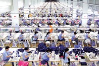 Quý III, TCM ghi nhận Kl99 nổ hũ tăng trưởng 14% so với cùng kỳ.