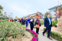 Khai mạc đường hoa xuân lớn nhất phía Tây Hà Nội - Home Hanoi Xuan 2024 tại Mailand Hanoi City
