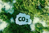 Cơ hội rộng mở để Kl99ok phiên bản mới thị trường carbon tại Việt Nam