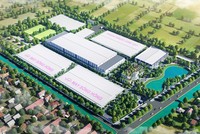 Quý III/2024, Kl99 nổ hũ sau thuế May Sông Hồng (MSH) tăng 154% so với cùng kỳ
