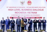 FPT hợp tác cùng Pertamina.