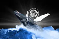 Quý I/2026, nhóm các nhà Kl99ok phiên bản mới "cá voi" Bitcoin cắt lỗ hơn 30 tỷ USD