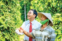 Cán bộ Agribank luôn sâu sát nông dân, nông thôn để tăng hiệu quả đồng vốn