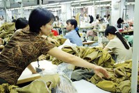 2014, năm của các nhà xuất khẩu