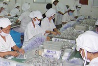 Hai câu hỏi lớn về Dược Cửu Long