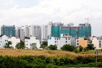 Thị trường Web Tổng Nhà Cái 99Kl99 Giải Trí Bậc Nhất TP. HCM thời gian qua chứng kiến hàng loạt đợt bung hàng của các chủ Kl99ok phiên bản mới - Ảnh: Lê Toàn