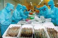 Hơn 90% thủy sản Link Vào Nhà Cái KL99 COM Tặng +199k nhằm mục đích chế biến xuất khẩu