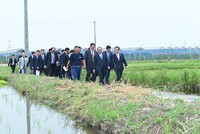 Ảnh: VGP/Quang Hiếu
