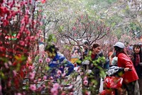 Hai phương án nghỉ Tết Âm lịch 2017