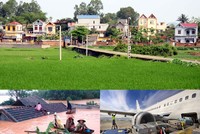 Ảnh Internet