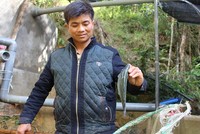 Nhận thấy Mẫu Sơn có điều kiện khí hậu, tự nhiên phù hợp nuôi cá hồi, anh Trình mạnh dạn Kl99ok phiên bản mới. Ảnh: Hồng Vân