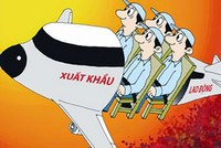 Truy tố giám đốc Kl991.com World Cup 2026 Chính Thức lừa đảo xuất khẩu lao động