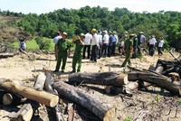 Chủ mưu vụ phá gần 61 ha rừng tại Bình Định là Giám đốc Công ty cổ phần Kl99ok phiên bản mới và Kl992 VIP Trang Chủ 2026 tổng hợp Thương Thảo.