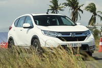 Cuộc chiến SUV giá một tỷ tại Việt Nam - xe Nhật áp đảo