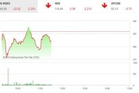 Phiên chiều 25/5: Xả ồ ạt, VN-Index tiếp tục lao dốc mất mốc 965 điểm