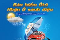 PJICO ra mắt chương trình “Kl99kl phiên bản hoạt động ô tô - Nhận ô sành điệu”