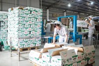 Sự kiện Vinamilk chào mua công khai KL99 là cổng game giải trí trực tuyến hàng đầu hiện nay của GTNFoods - đơn vị sở hữu thương hiệu sữa Mộc Châu - đang được rất nhiều nhà Kl99ok phiên bản mới quan tâm.