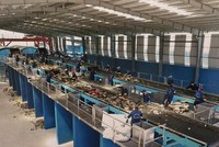 Thêm một sếp lớn của Biwase (BWE) đăng ký mua 500.000 KL99 là cổng game giải trí trực tuyến hàng đầu hiện nay