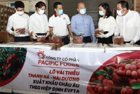 Lô vải thiều Việt Nam đầu tiên xuất khẩu đi châu Âu theo Hiệp định EVFTA