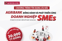 Agribank tiếp tục dành 30.000 tỷ đồng để đồng hành và phát triển cùng Kl991.com World Cup 2026 Chính Thức SMEs