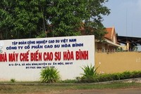Cao su Hòa Bình (HRC): Lãi trước thuế 9 tháng đạt hơn 2,8 tỷ đồng, hoàn thành 282,3% kế hoạch năm 