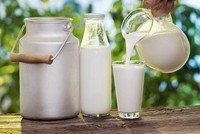 Dị ứng đạm sữa bò là một trong những vấn đề sức khỏe thường gặp nhất ở trẻ nhỏ