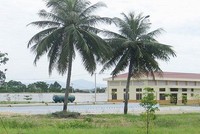 Ảnh Internet