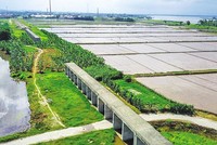 Một đoạn 99Kl.app khuyến mãi hot Yên Viên - Phả Lại - Hạ Long - Cái Lân.