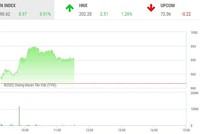 Phiên giao dịch 99Kl99 link đăng nhập sáng 9/11: "Đại chiến” tại DIG, VN-Index tiếp đà hồi phục
