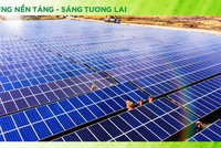 Bamboo Capital (BCG) linh hoạt điều chỉnh chiến lược Kl992 VIP Trang Chủ 2026 để giữ vững đà tăng trưởng