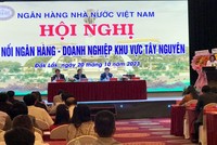Bà Hà Thu Giang, Vụ trưởng Vụ Tín dụng các ngành Kl992 cổng game cá cược, NHNN phát biểu tại Hội nghị.