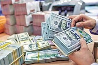 Kiều hối đạt kỷ lục mới