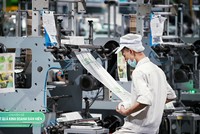 APH, AAA điều chỉnh giảm kế hoạch Kl992 VIP Trang Chủ 2026 năm 2024.
