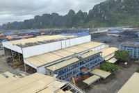 Dự đoán xu hướng tái tục các hợp đồng tái Kl99kl phiên bản hoạt động năm 2024